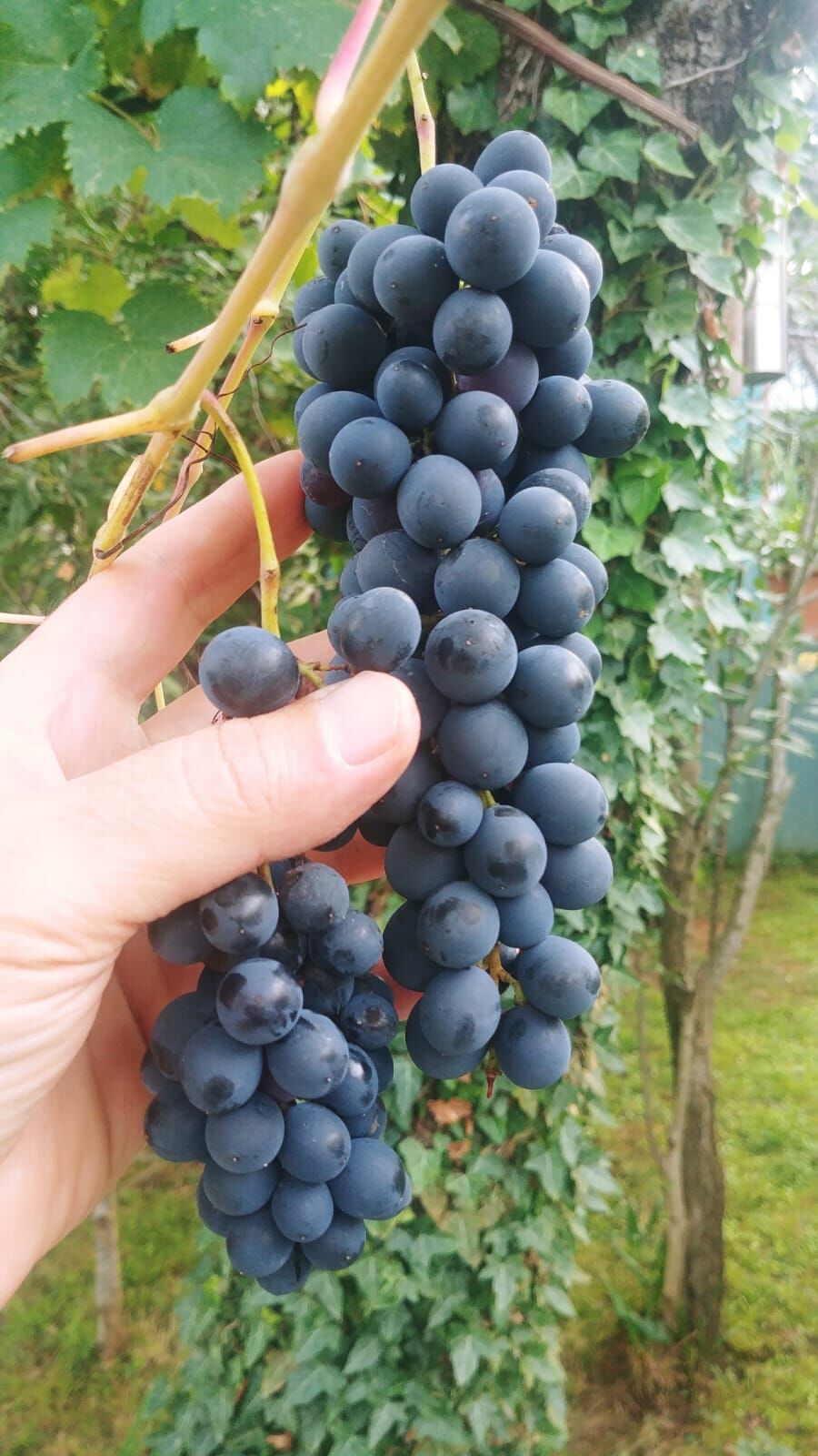 Whatsapp Image 2026 04 12 At 11.12.36 (1)