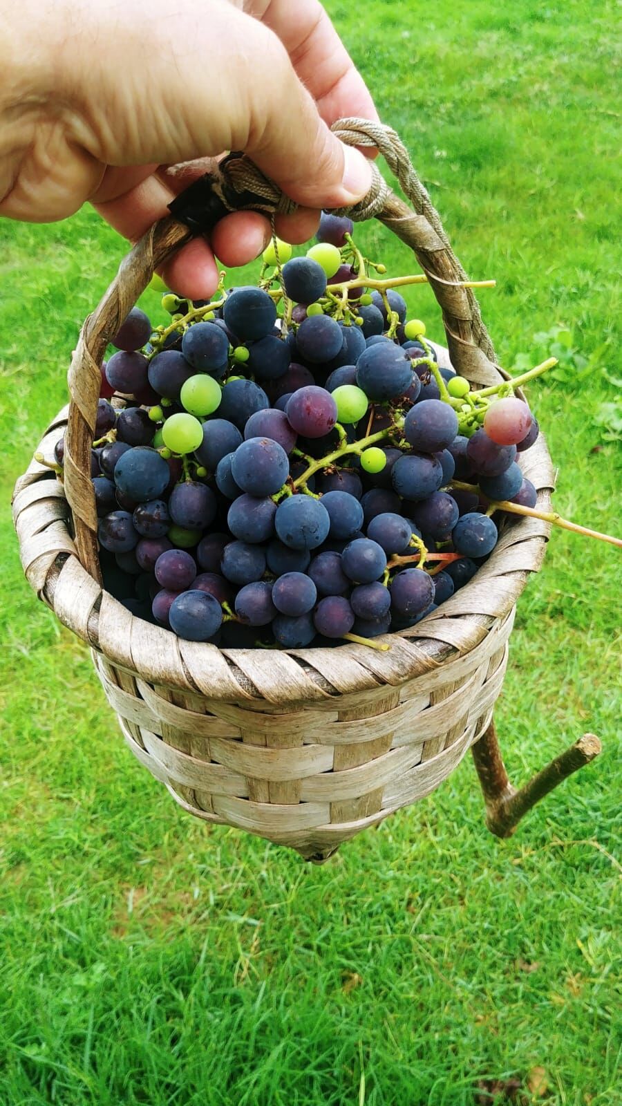 Whatsapp Image 2026 04 12 At 11.12.36 (2)