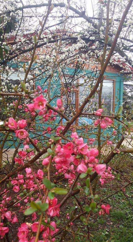 Whatsapp Image 2026 04 12 At 11.12.37 (1)