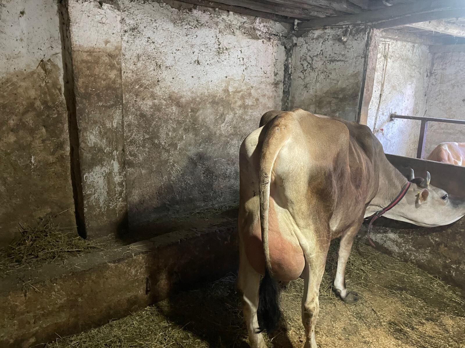 Whatsapp Image 2026 04 14 At 10.57.09 (1)