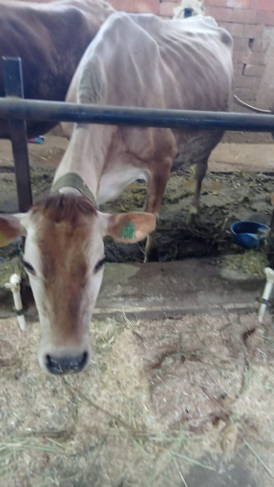 Whatsapp Image 2026 04 14 At 10.57.09