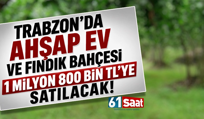 Trabzon'da Ahşap Ev ve Fındık Bahçesi 1 milyon 800 bin TL'ye satılacak!
