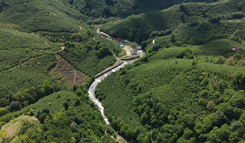 Ordu'da Çamaş Kanyonu ilgi odağı oluyor
