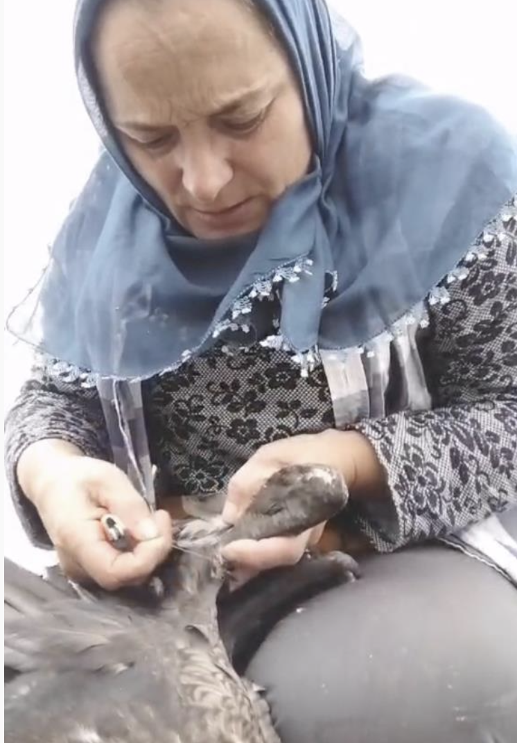 Ekran Resmi 2026 06 24 10.05.02