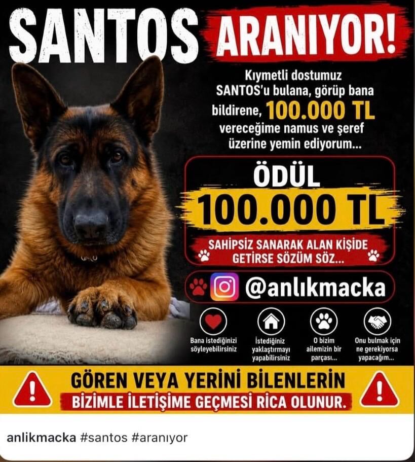 25 G U N D U R K A Y I P O L A N K O P E K S A N T O S U B U L 1400303 415876