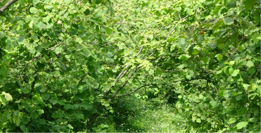 Ekran Görüntüsü 2026 07 07 093743