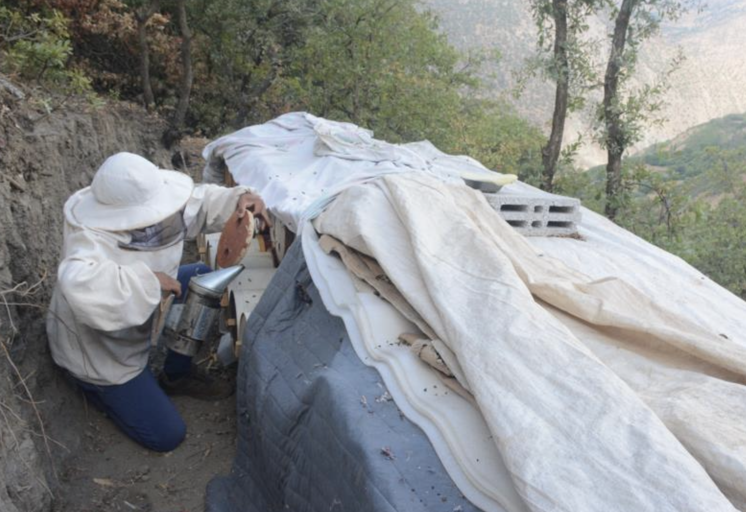Bitlis’in ödüllü Hizan karakovan balı, NATO Zirvesi menüsünde
