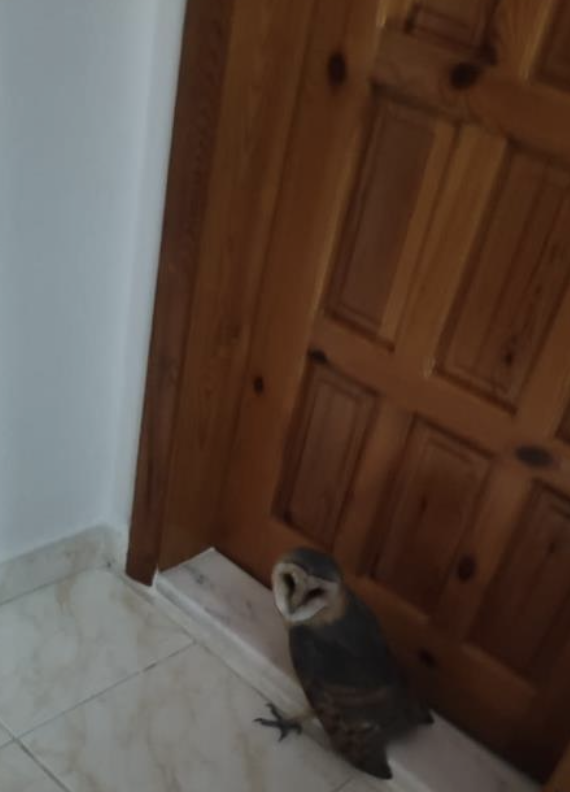 Ekran Resmi 2026 07 08 13.32.07
