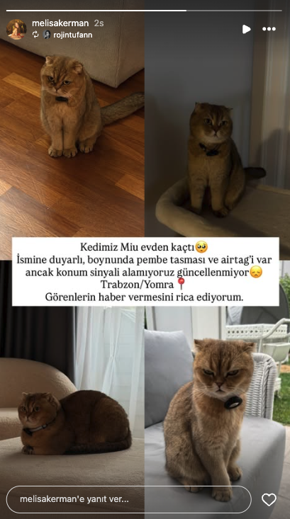 Ekran Resmi 2026 07 11 19.22.04