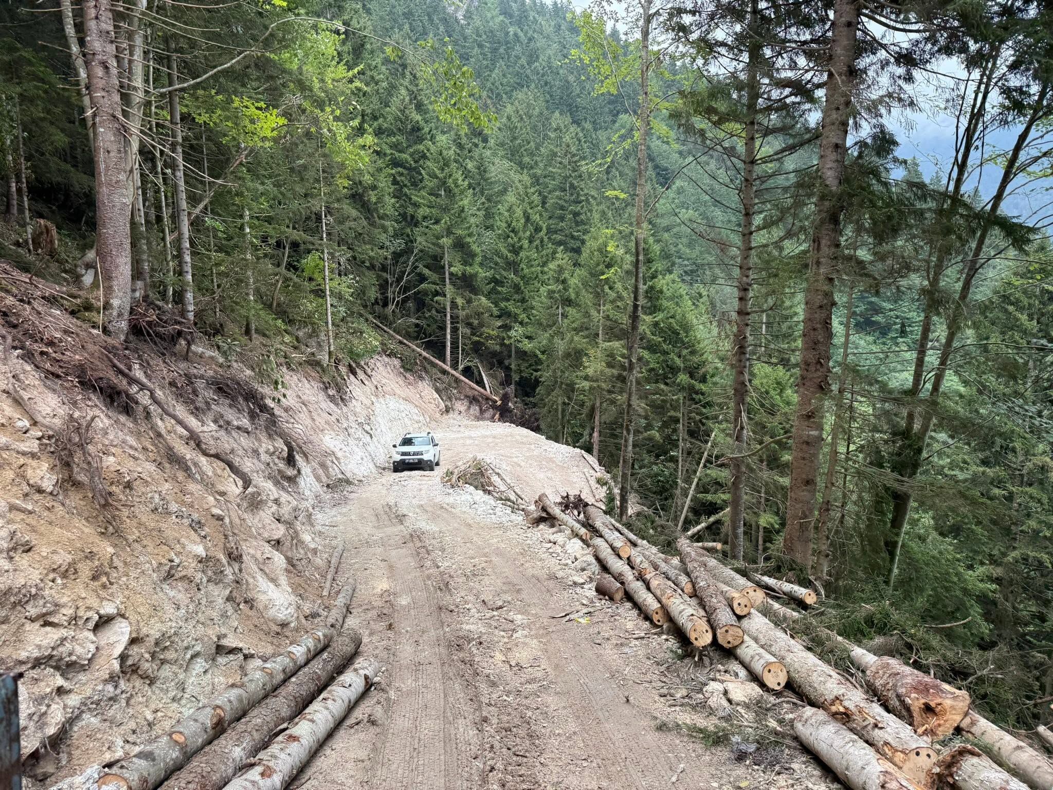 Fındık10