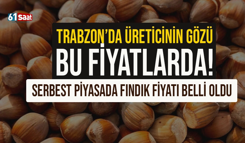 Trabzon'da üreticinin gözü bu fiyatlarda! Fındık serbest piyasada ne kadar