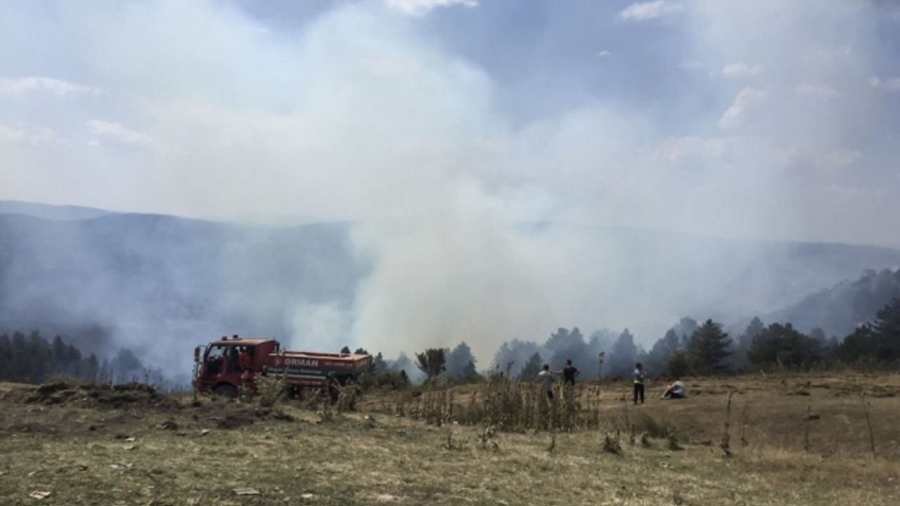 Kastamonu'daki orman yangını