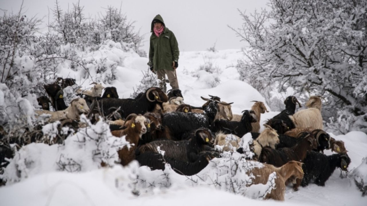 Giresunlu çiftçiler karla mücadele ediyor