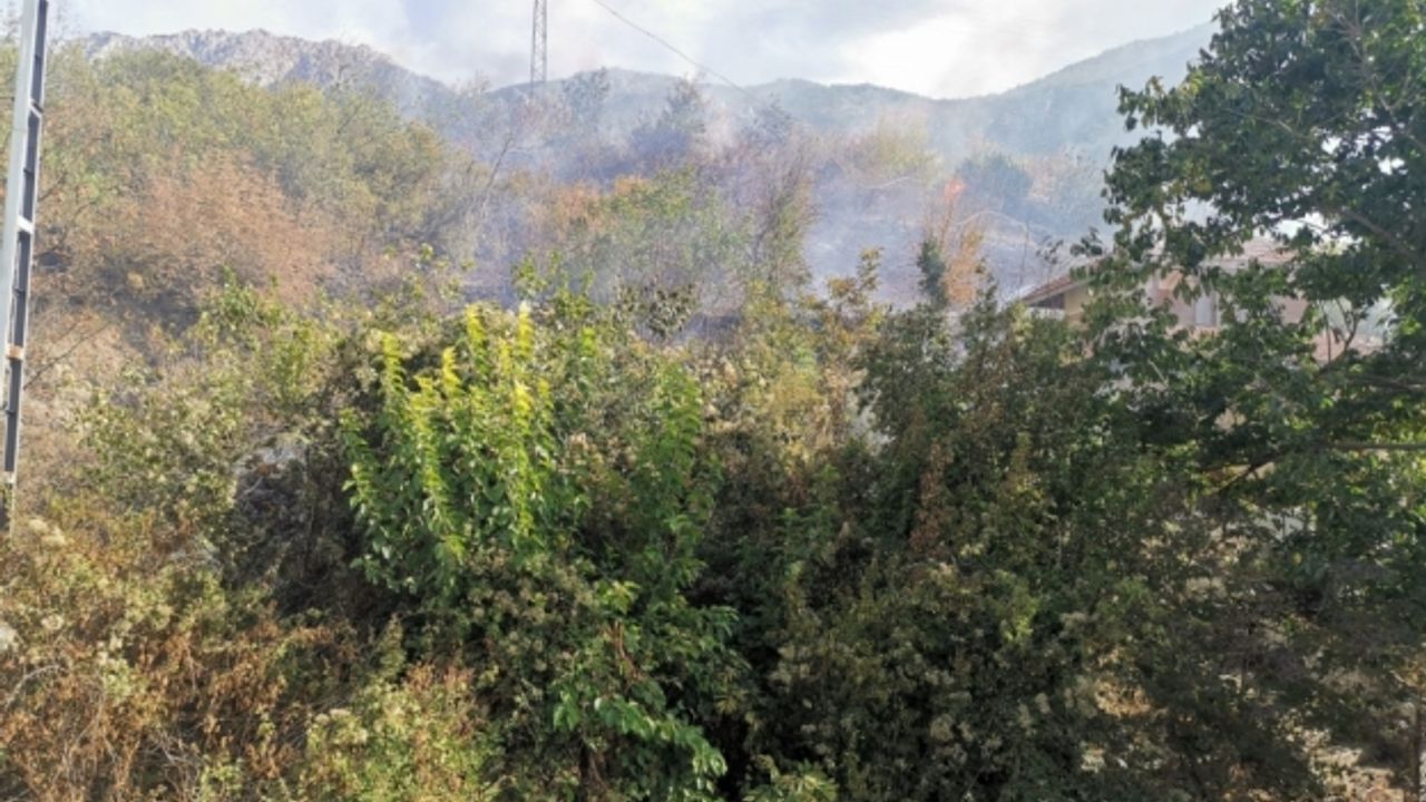 Amasya'da çıkan orman yangınında 3 hektar alan zarar gördü