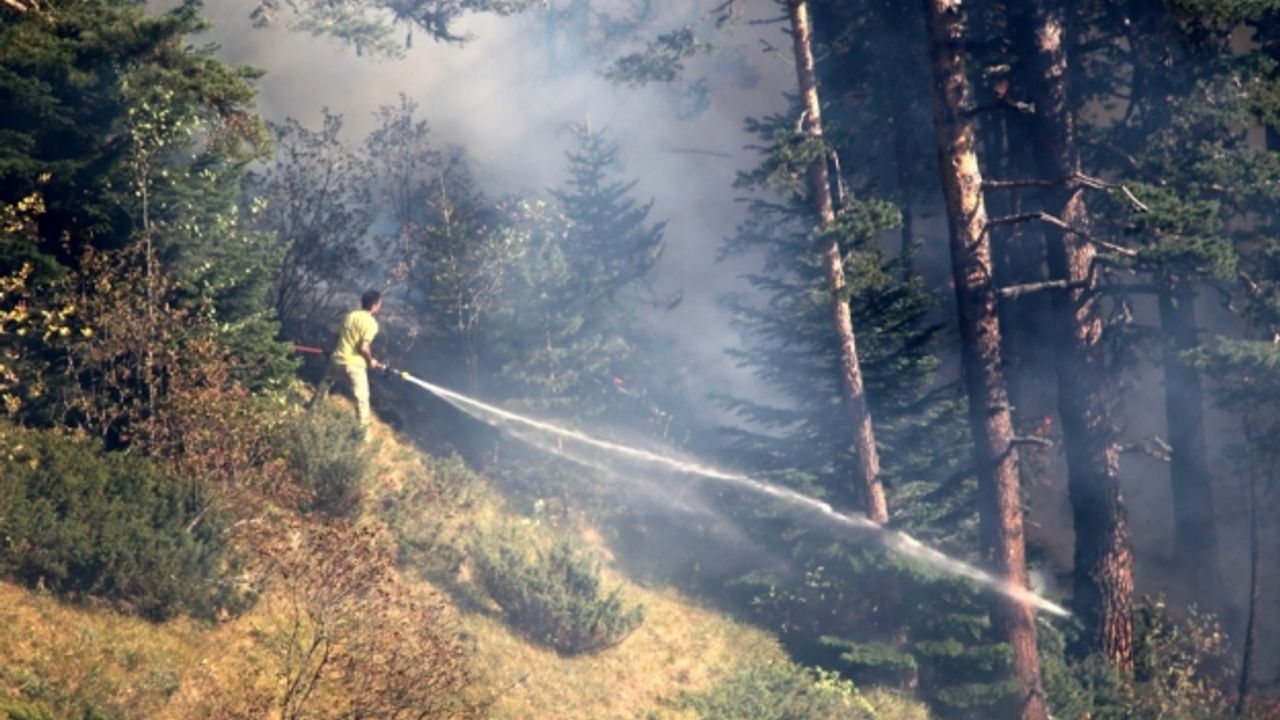 GÜNCELLEME 2 - Kastamonu'da çıkan orman yangınına müdahale ediliyor