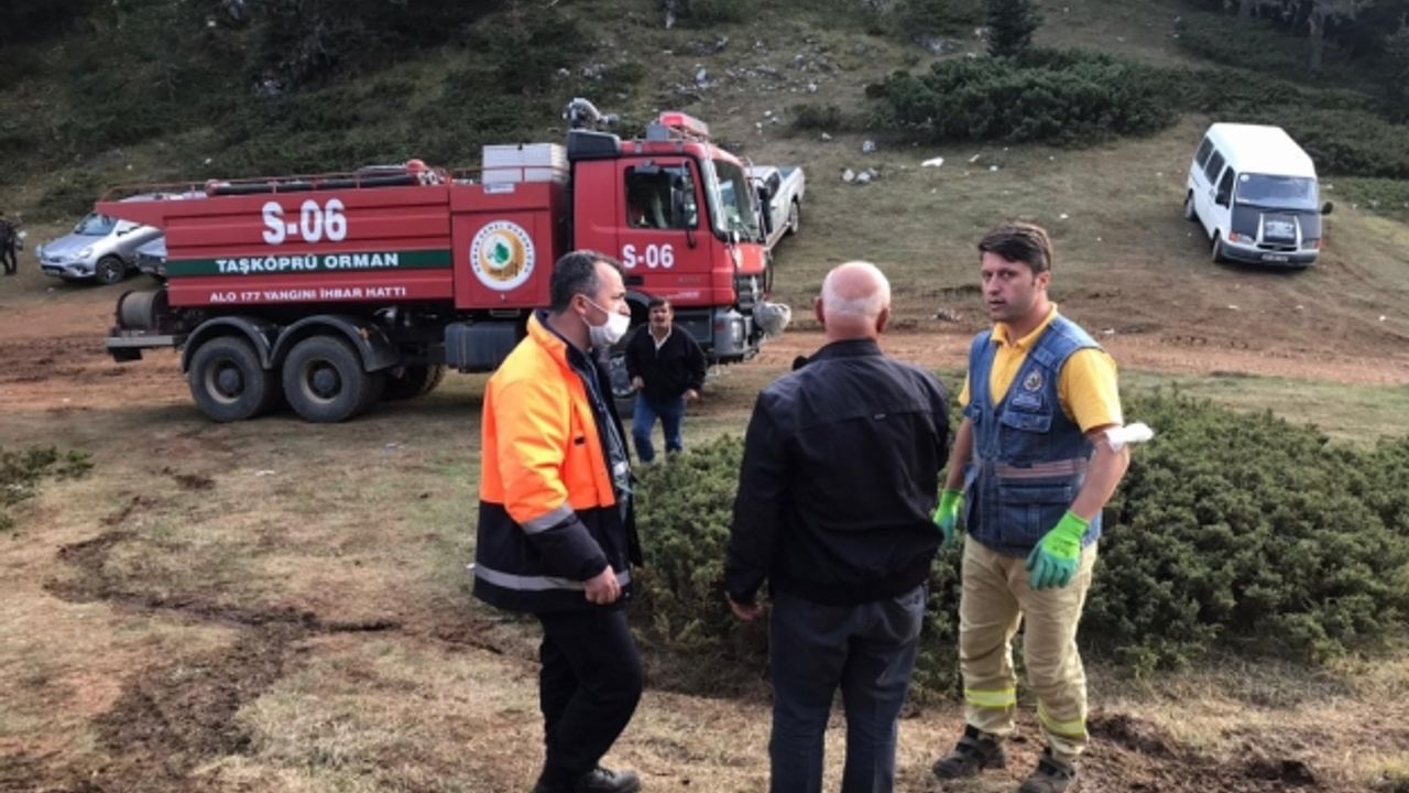 Kastamonu'daki 2 yangında yaklaşık 45 hektar ormanlık alan zarar gördü