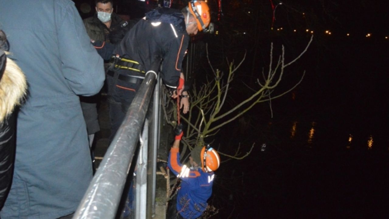 Bartın'da ağaçta mahsur kalan kediyi AFAD ve polis ekipleri kurtardı