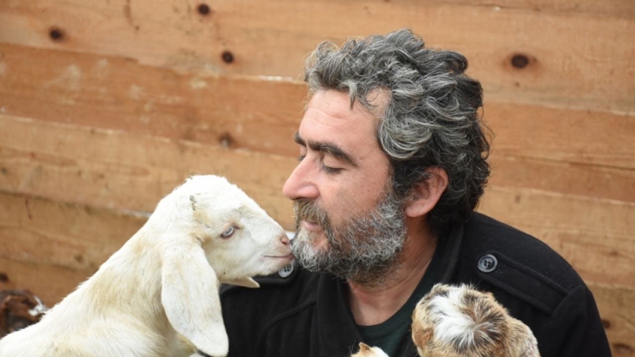 Bartın'ın "mandıra filozofu" evini yeni doğan keçi yavrularına açtı