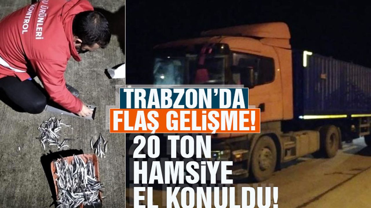 Trabzon'da 20 ton hamsiye el konuldu!