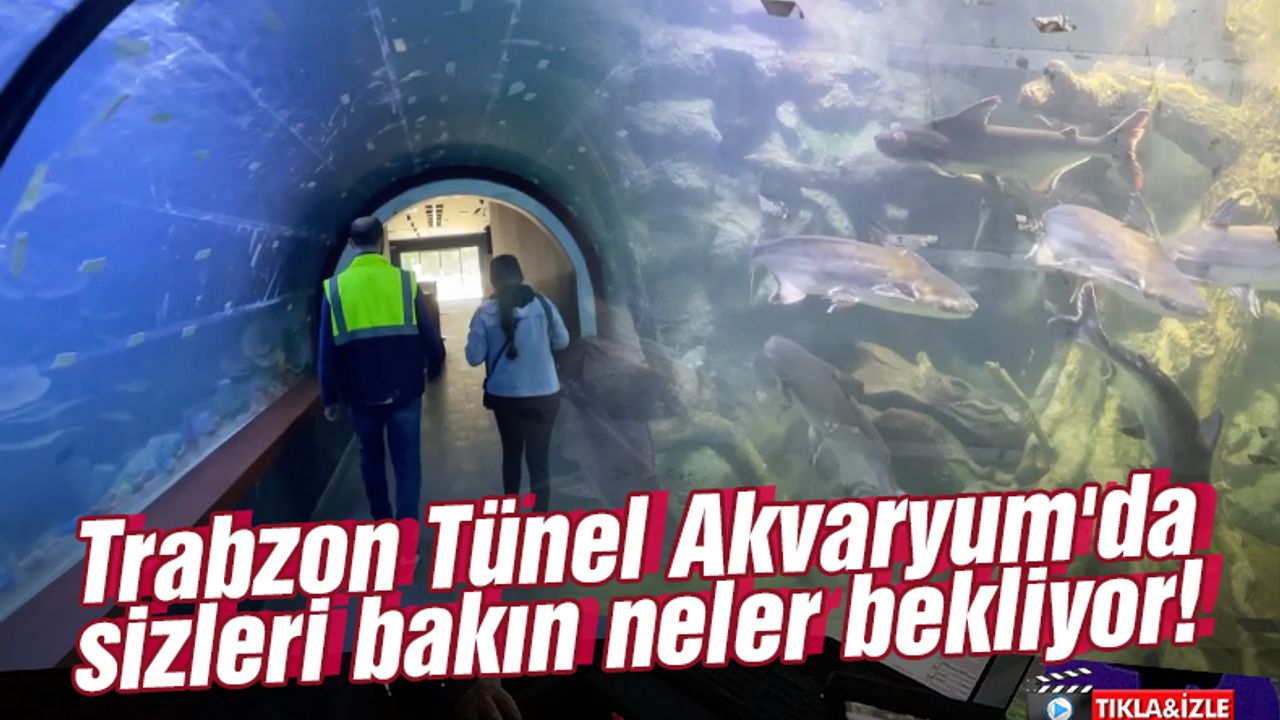 Trabzon Tünel Akvaryum'da sizleri bakın neler bekliyor!