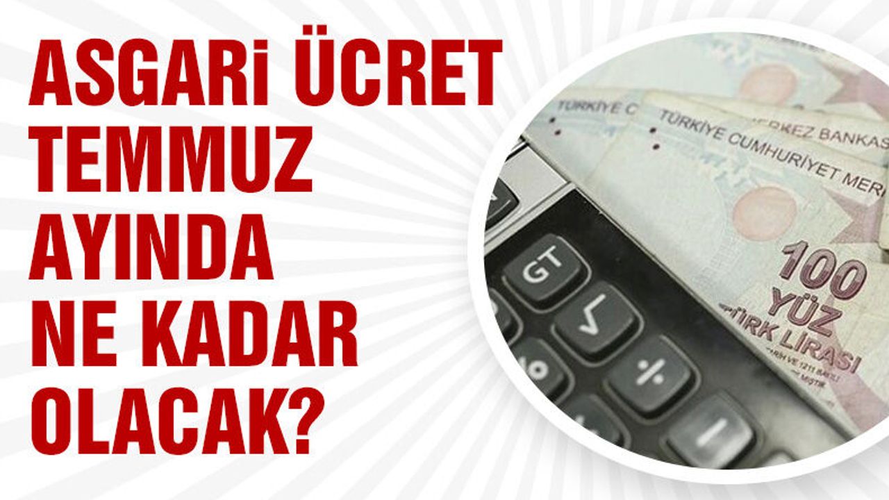 temmuz_ayinda_asgari_ucret_ne_kadar_olacak_h1058824_1ca78.jpg