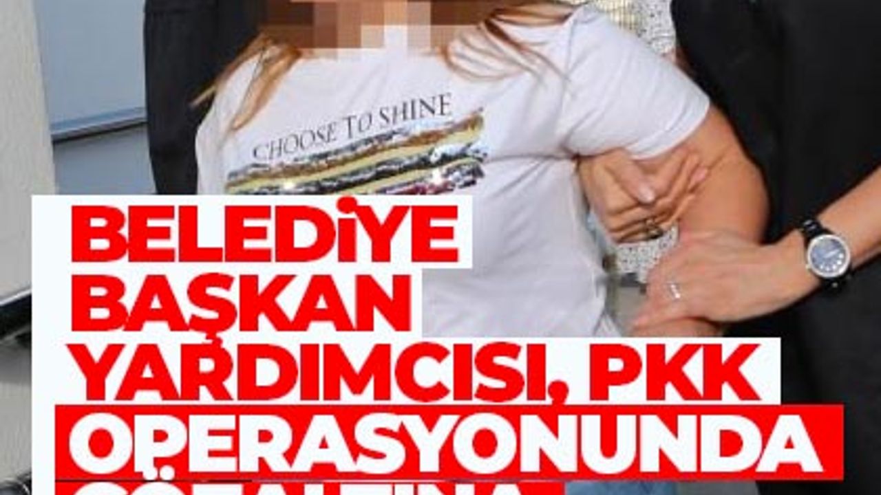 Başkan yardımcısı PKK operasyonunda gözaltına alındı!