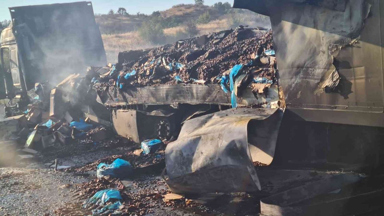 Alevlere teslim olan tırdaki 20 ton fındık küle döndü
