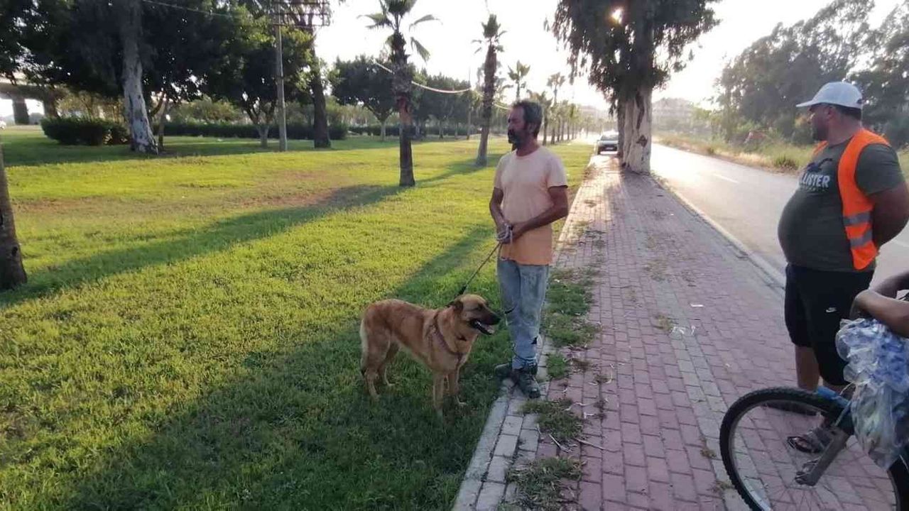 Antalya’da otluk alanda köpek tarafından bulunan cesedin kimliği belirlendi