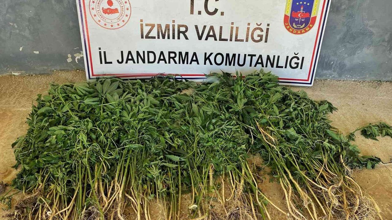 İzmir’in 9 ilçesinde uyuşturucu operasyonları: 26 gözaltı