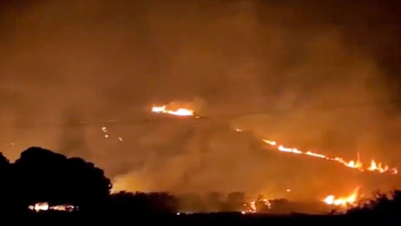 Söke’deki orman yangını kontrol altına alındı