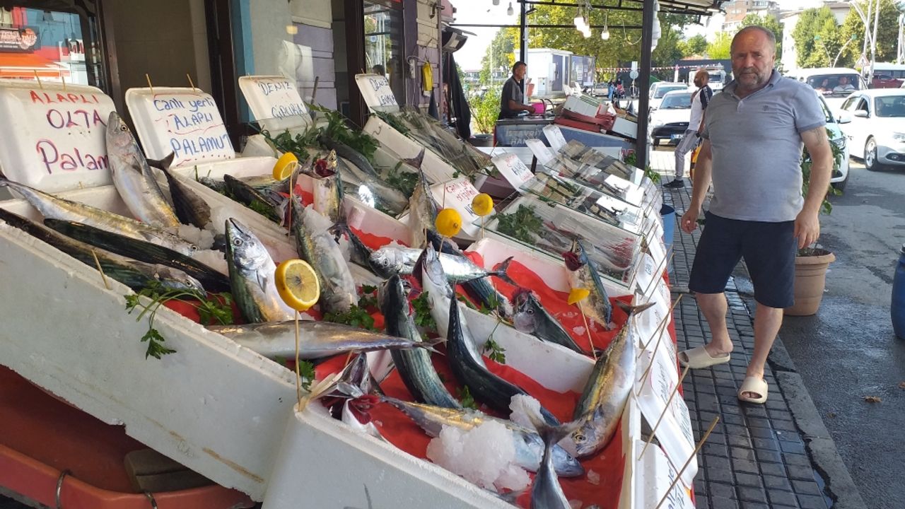 Zonguldak'ta sezonun ilk palamutlarının bolluğu balıkçıları umutlandırdı