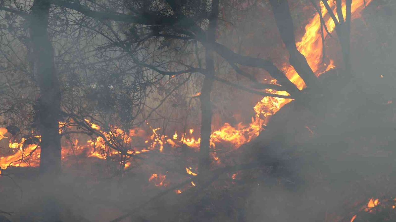 Alanya’da ikinci orman yangını büyümeden söndürüldü