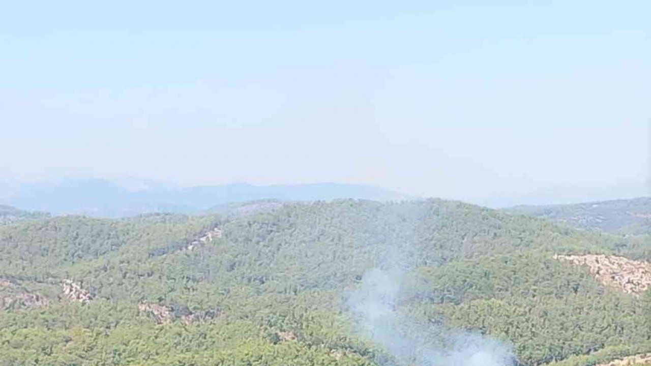 Alanya’da orman yangınında 2 dönüm alan zarar gördü