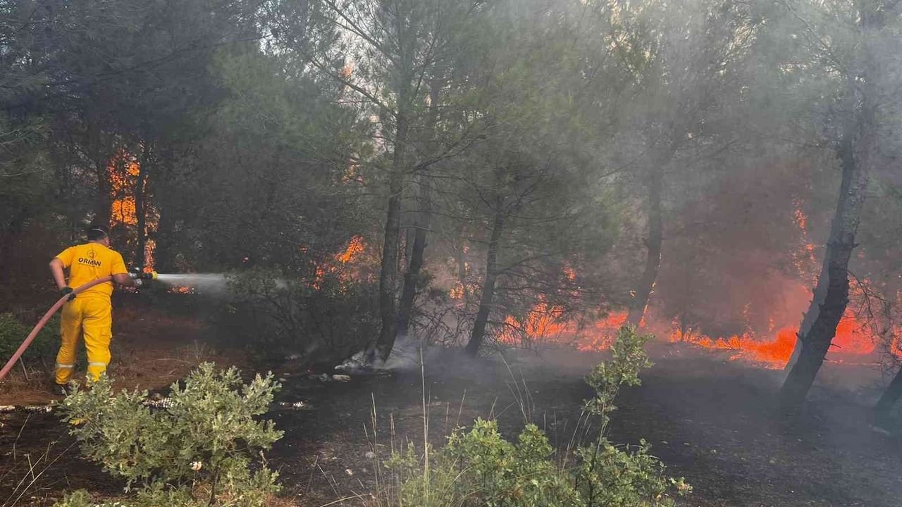 Bergama’daki orman yangını kontrol altında