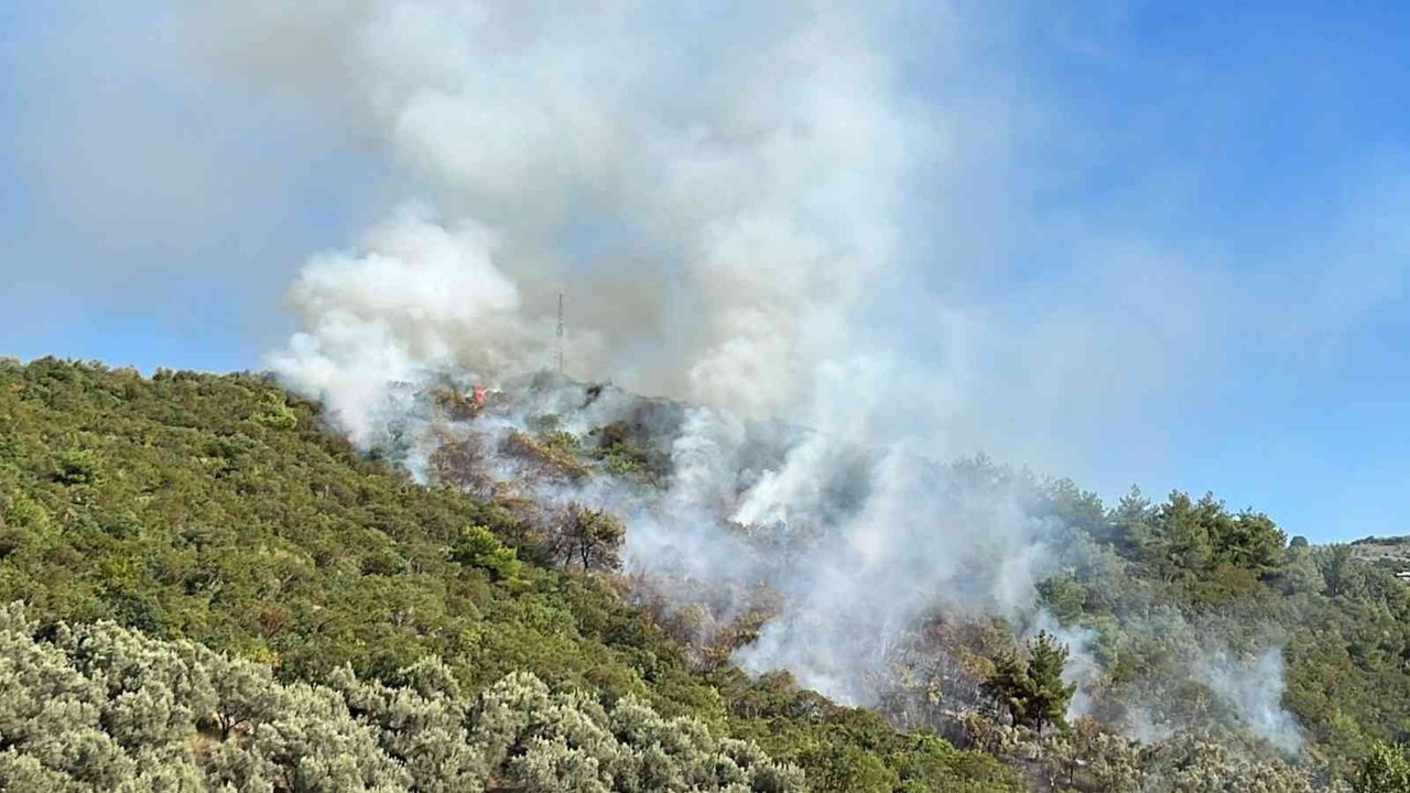 İznik’te orman yangını...Helikopter defalarca gölden su aldı
