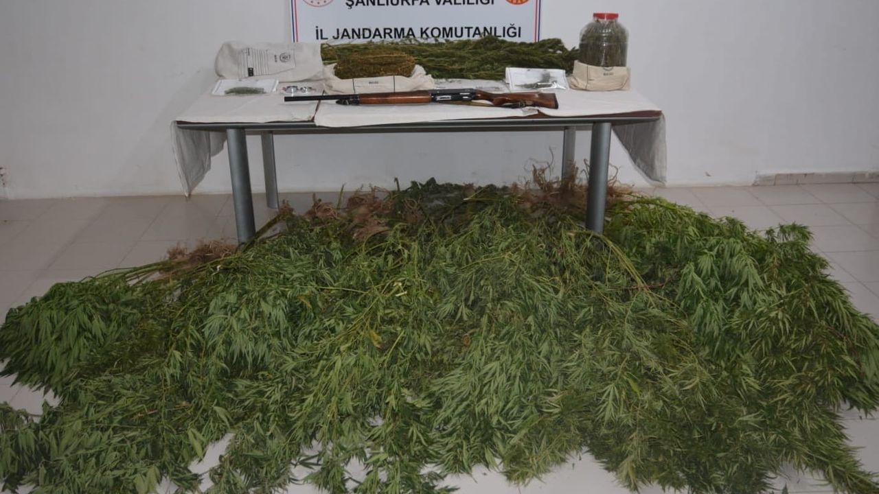 Şanlıurfa’da uyuşturucu operasyonu: 5 gözaltı