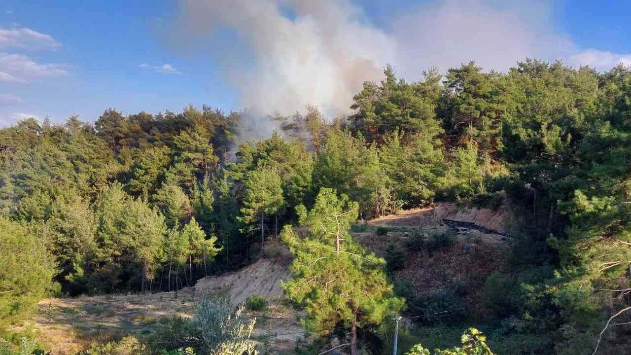 Yerleşim alanlarını tehdit eden orman yangını söndürüldü