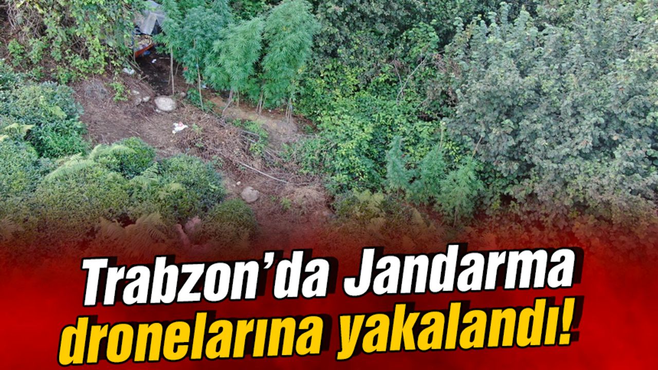 Trabzon'da Jandarma Dronelarına Yakalandı