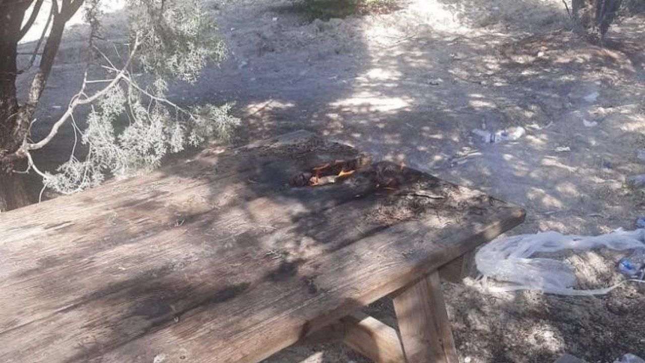Ertuğrul Gazi Türbesi yerleşkesindeki ağaçlık alanda bank yangını
