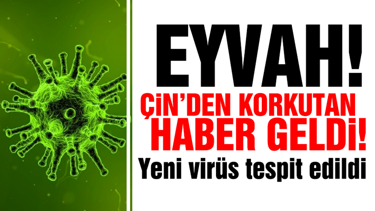 Korkutan haber! Çin’de yeni virüs tespit edildi