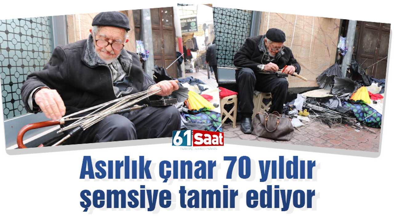 Samsun'da asırlık çınar 70 yıldır şemsiye tamir ediyor