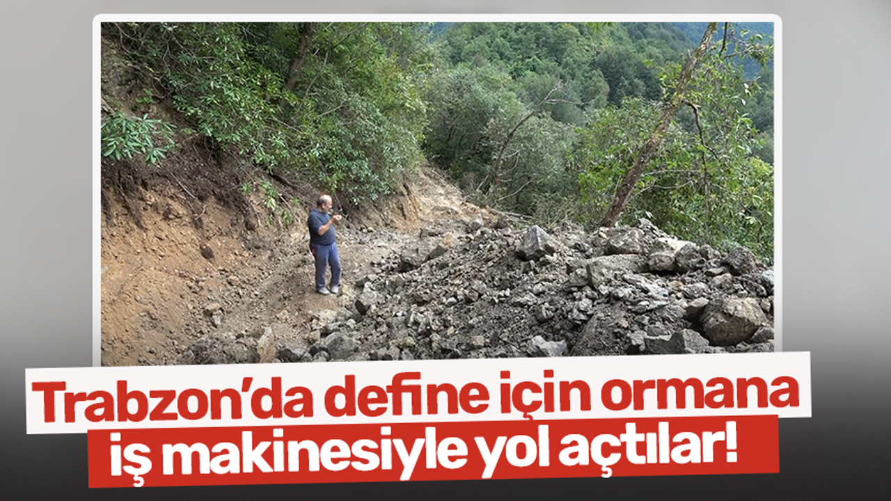 Trabzon'da define için ormana iş makinesiyle yol açtılar!