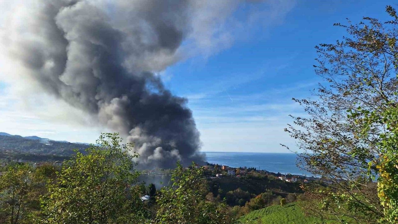 Trabzon’da balık fabrikasında yangın çıktı, dumanlar gökyüzünü kapladı