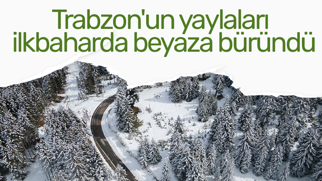 Trabzon'un yaylaları ilkbaharda beyaza büründü