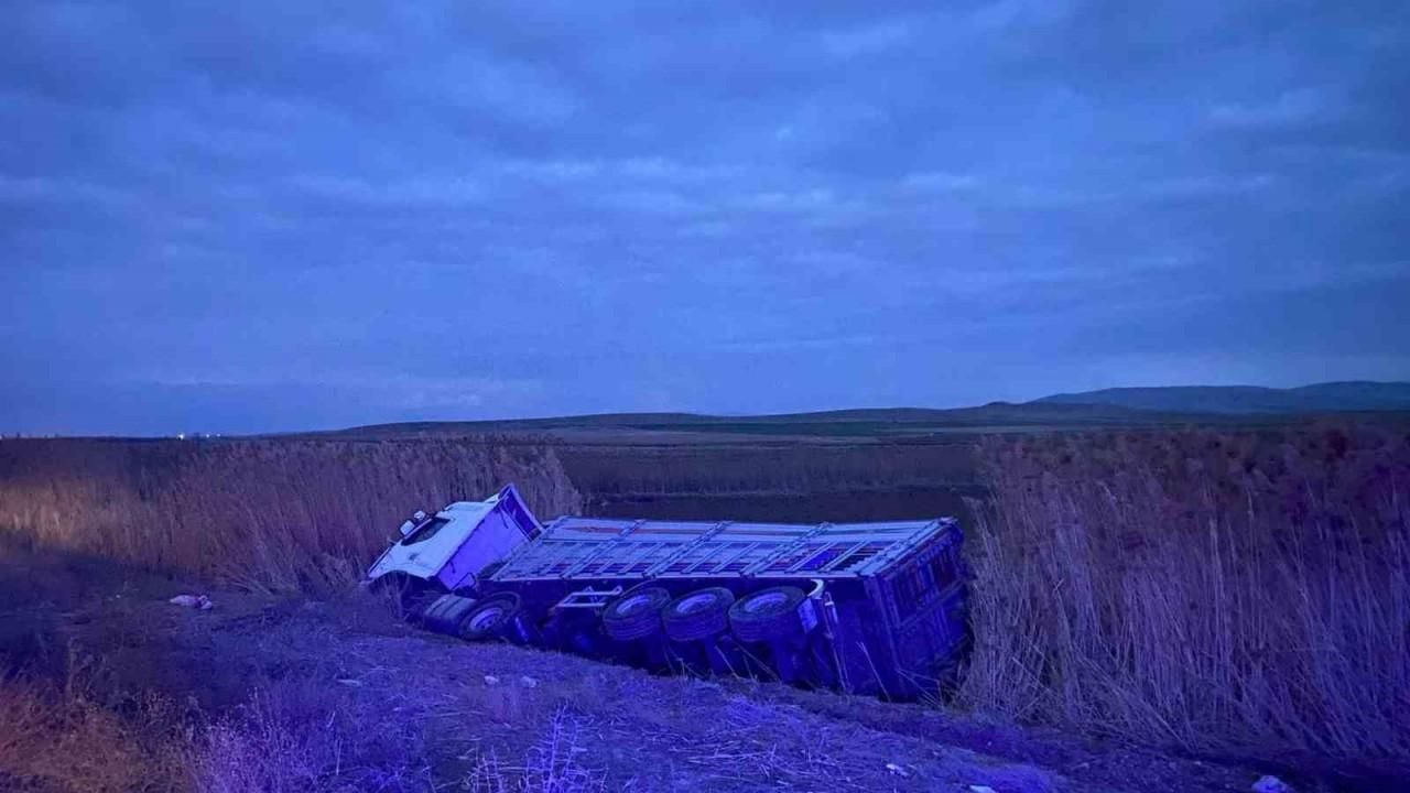 Kontrolden çıkan kamyon şarampole devrildi: 1 ölü