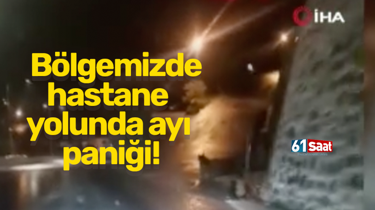 Bölgemizde hastane yolunda ayı paniği!