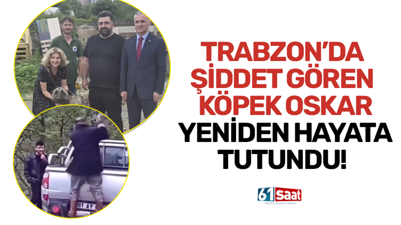 Trabzon’da şiddet gören köpek Oskar yeniden hayata tutundu!