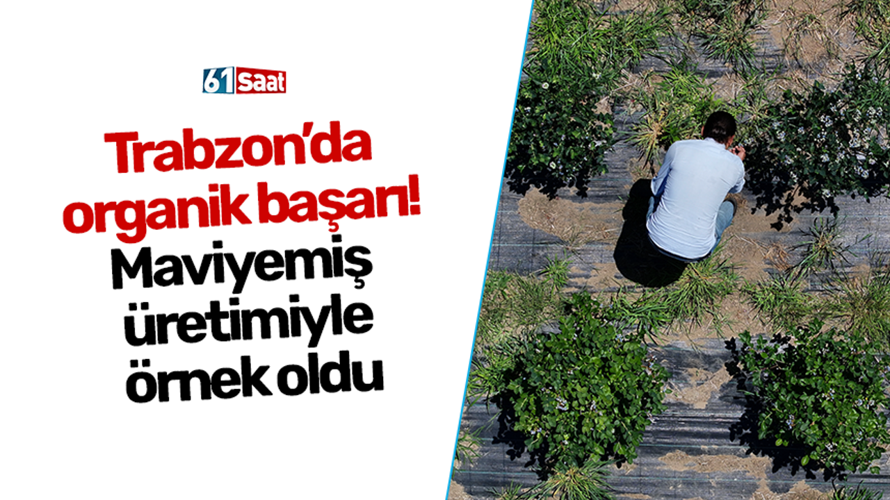 Trabzon’da organik başarı! Maviyemiş üretimiyle örnek oldu