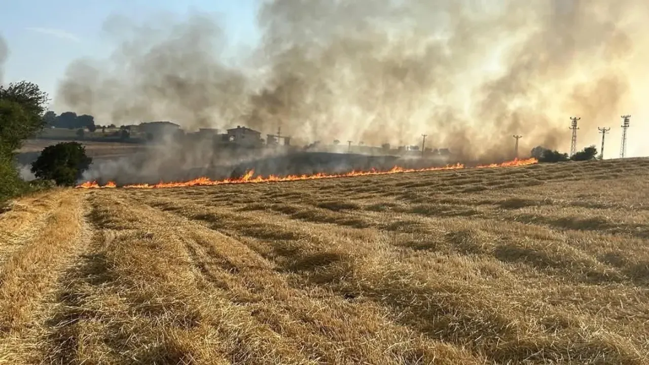Samsun'da  anız yangını  çıktı