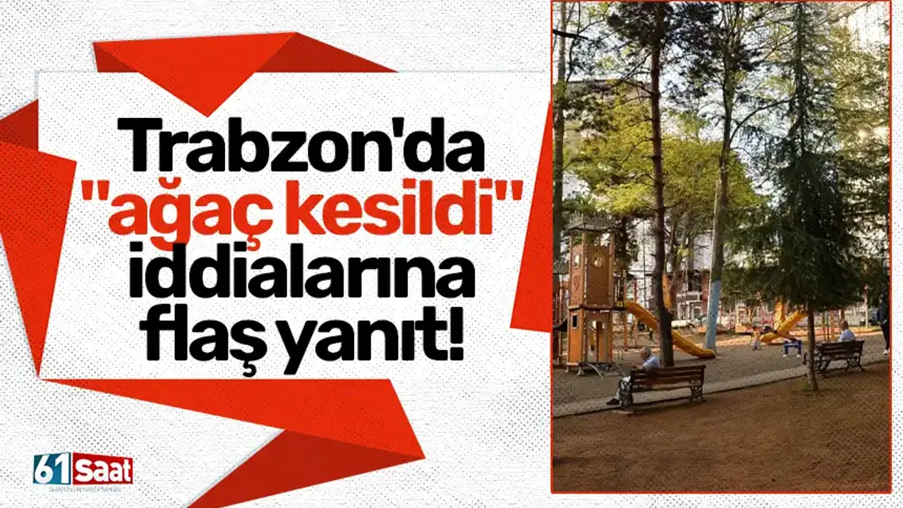 Trabzon'da "ağaç kesildi" iddialarına flaş yanıt!